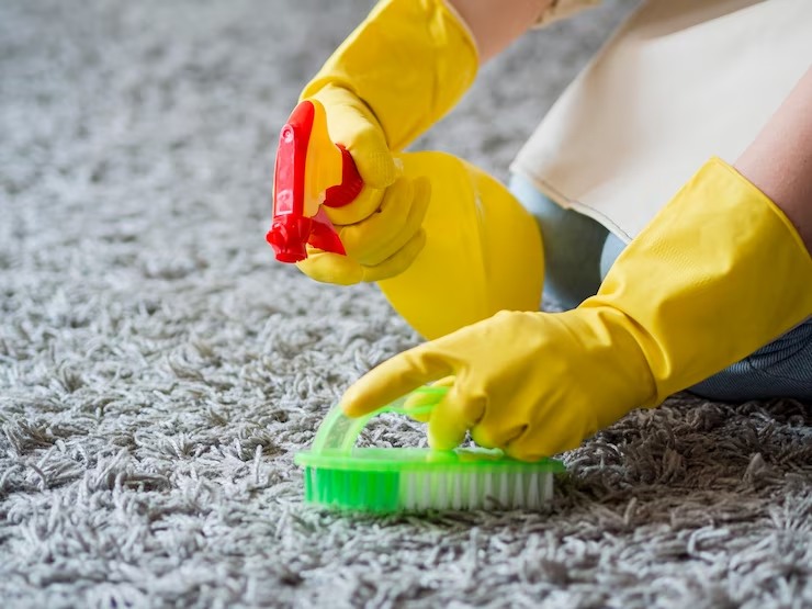 Carpet Cleaning